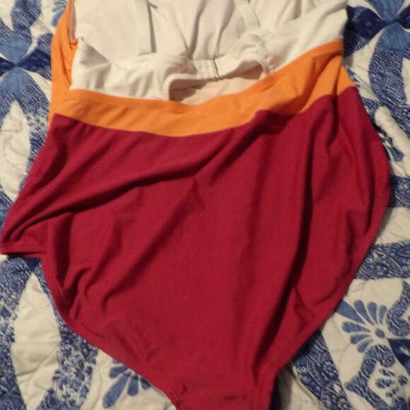 Share Terra & Sky 4XL Bathing Suit - Picture 3 of 3